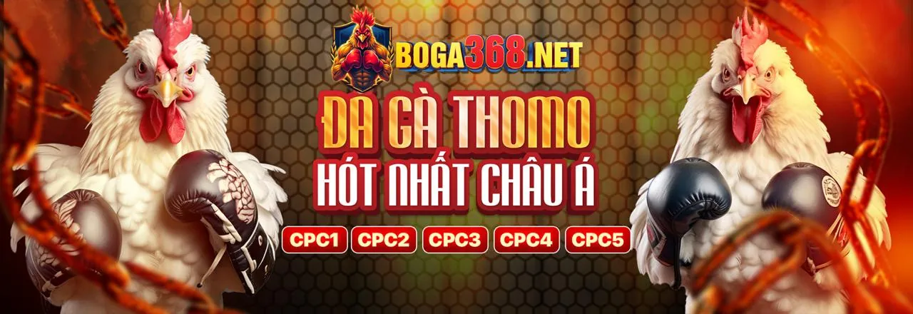 Đá Gà Cwin32 – Trải Nghiệm Cá Cược Đỉnh Cao